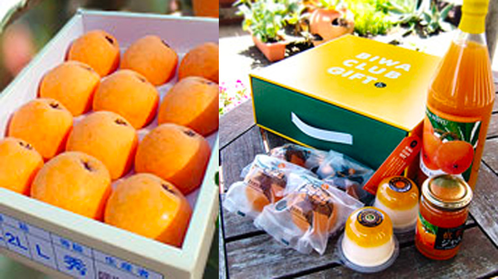 左：房州びわ 右：富浦町のびわから作られた加工品