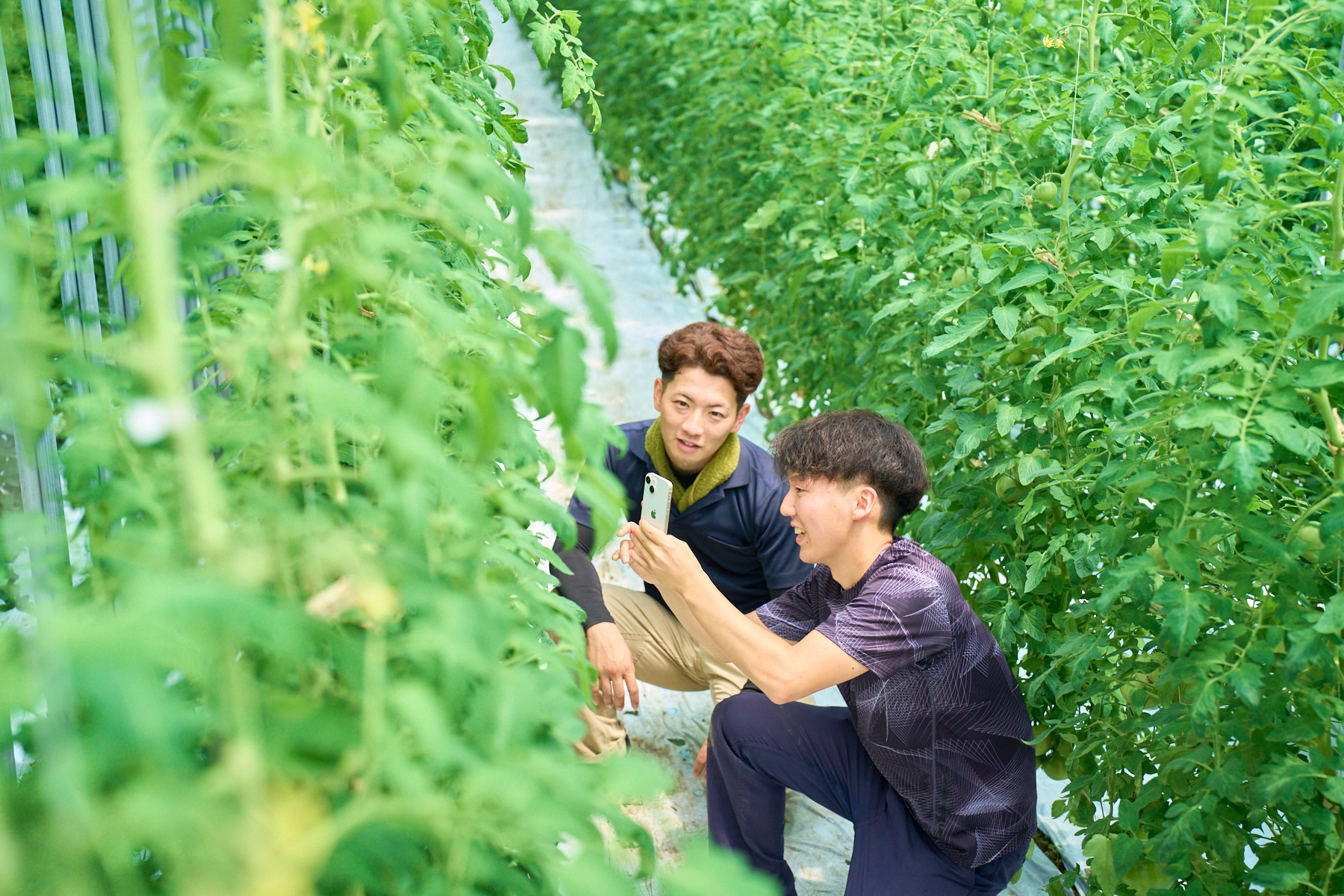「とまとのしのはら」篠原貴大さん・「小林菜園」小林柾德さん