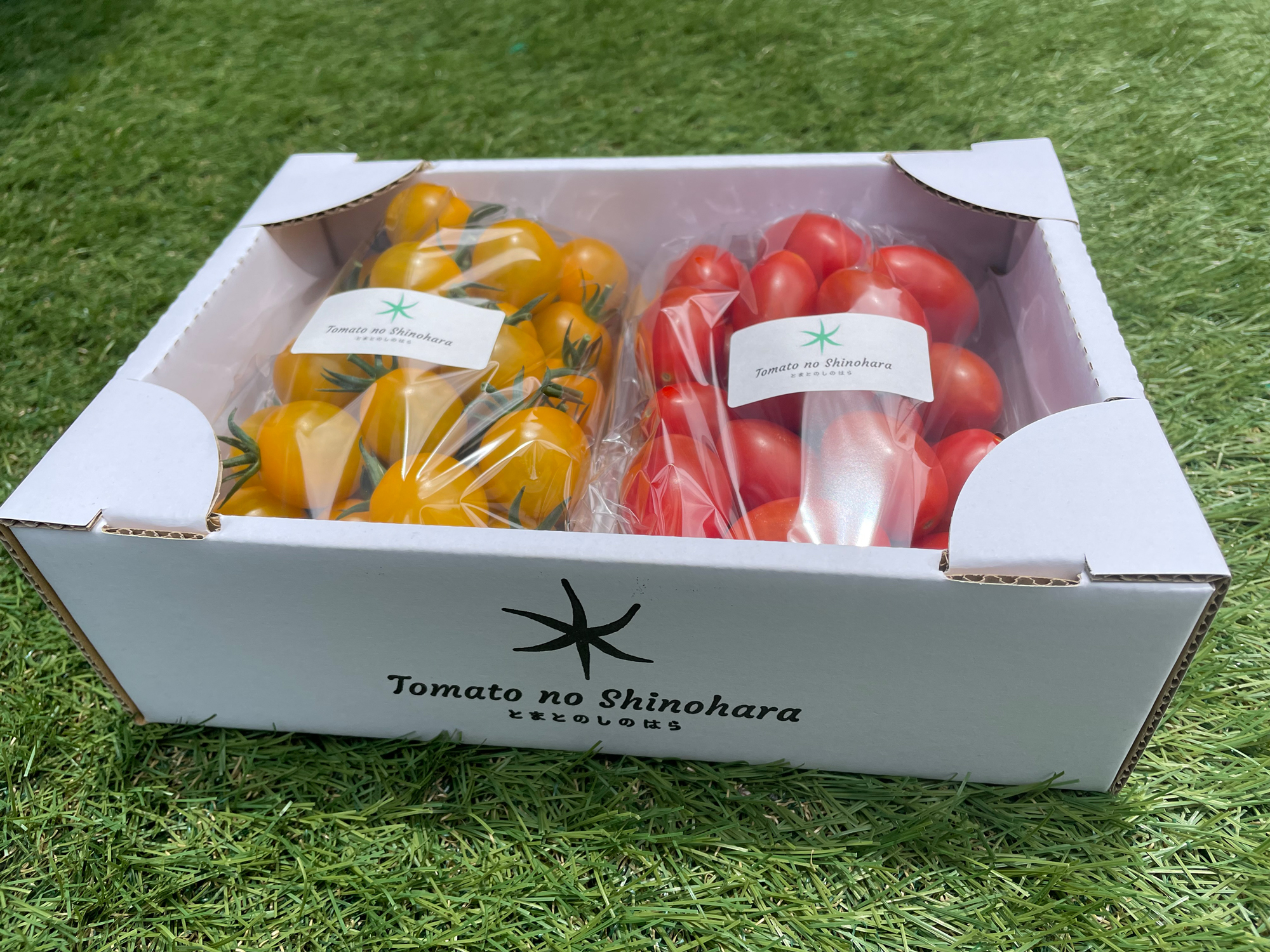 「とまとのしのはら」で生産している「アイコ」と「イエローミミ」。「とまとのしのはら」では、生産物をECサイトや自販機でも販売