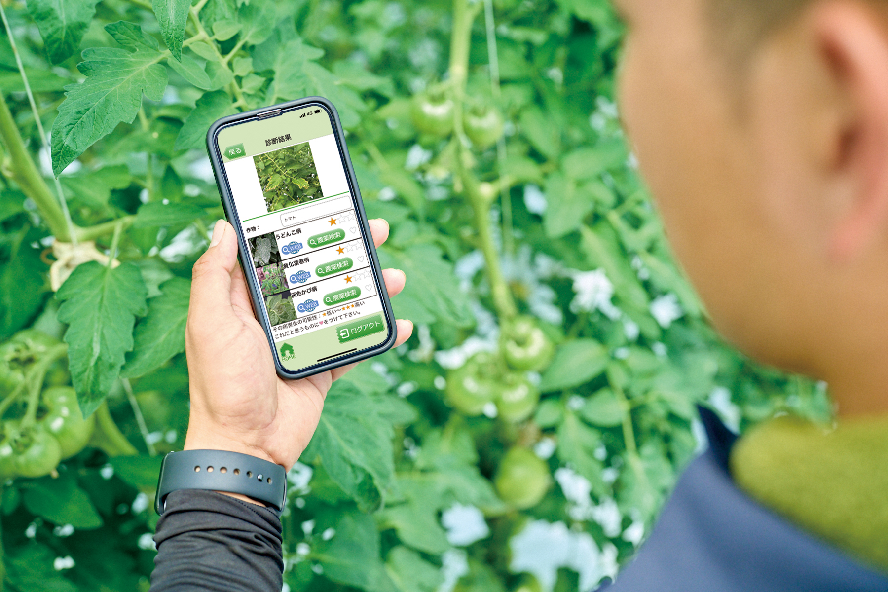 黄変している葉を撮影し「エクスペスツ」に投稿。「すぐに診断結果が出るし、結果がひと目でわかりますね」と篠原さん