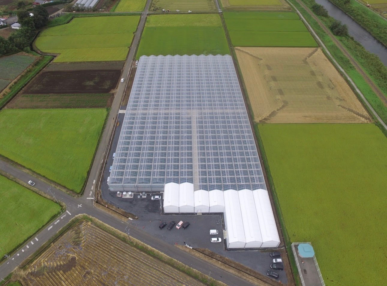 栃木県小山市南半田にある「小林菜園」のハウス