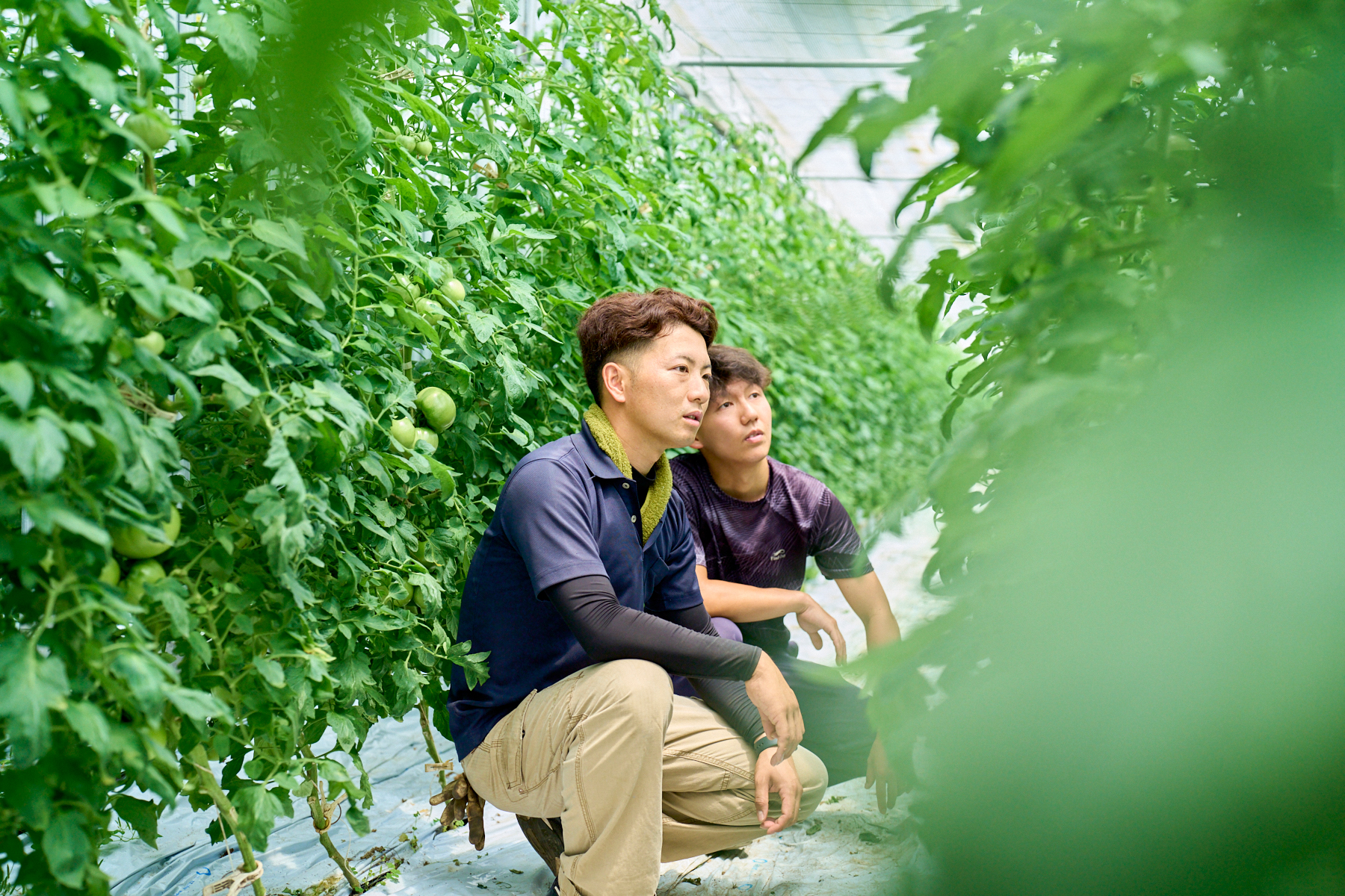 日々、同じトマト農家として、切磋琢磨し合っている篠原さんと小林さん