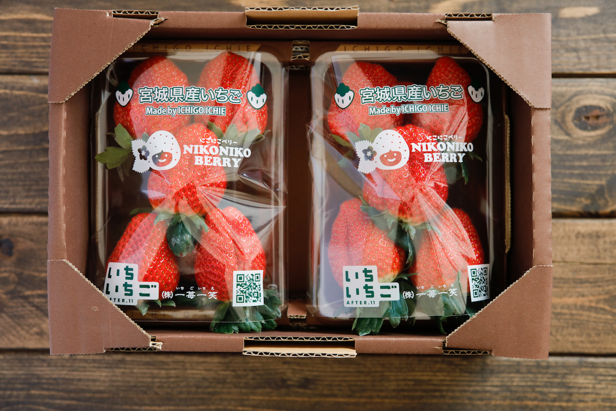 つなあぐ | YAOYASAN裏話