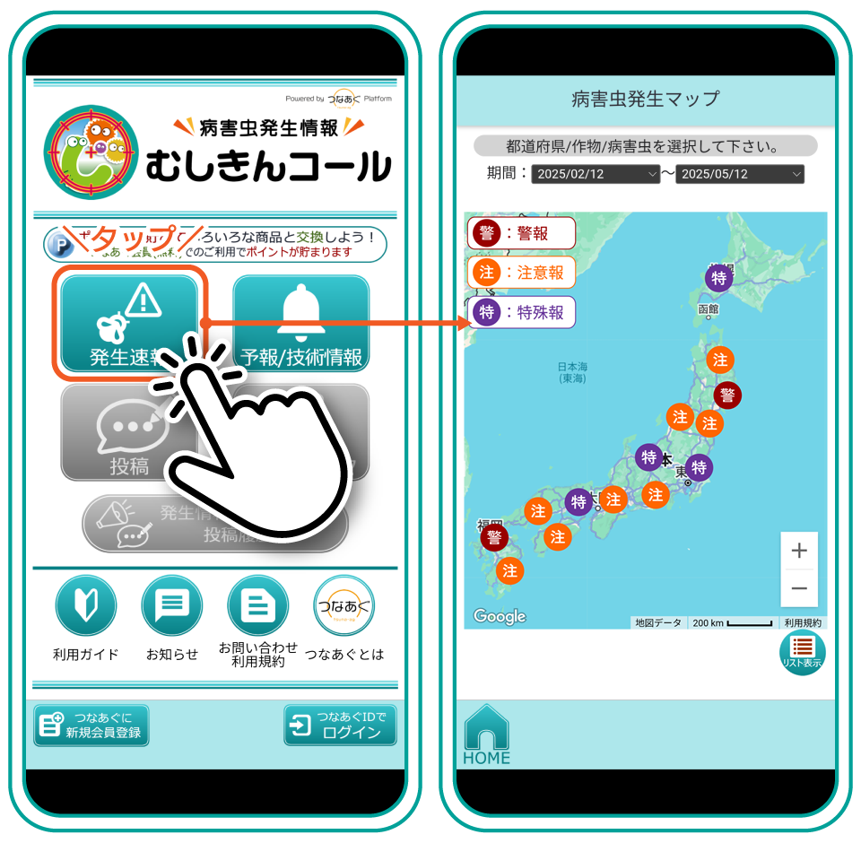 むしきんコール 画面