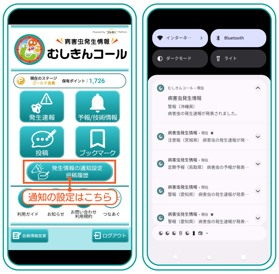 むしきんコール 画面